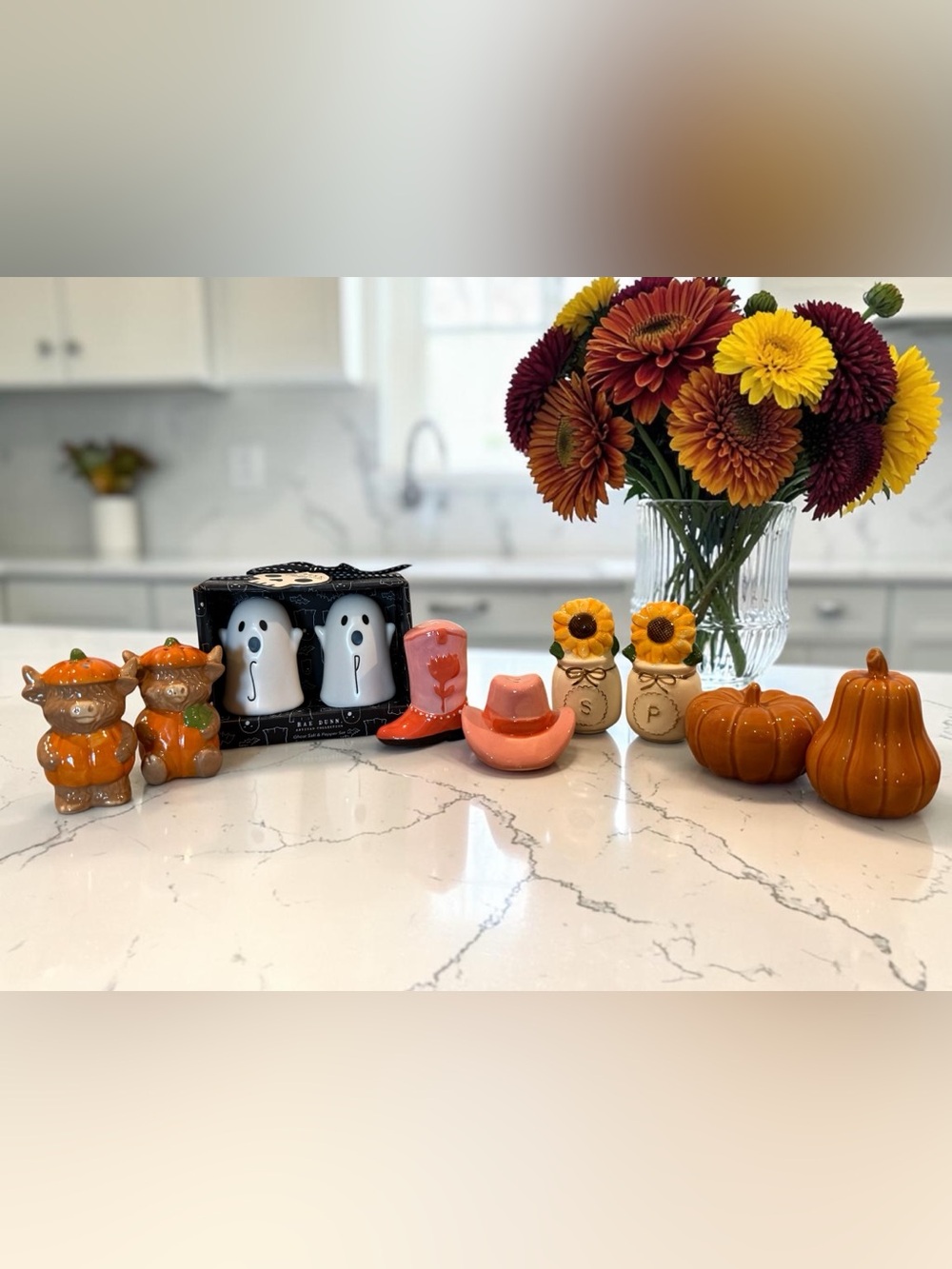 Fall & Halloween Salt & Pepper Shaker Set NWT (Pick One)